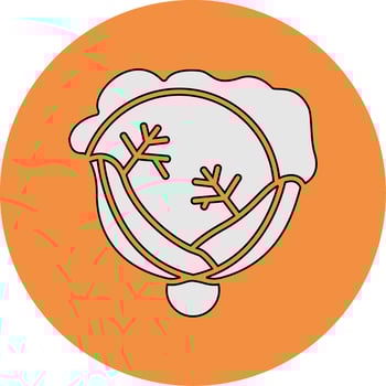 Cabbage Vector Icon