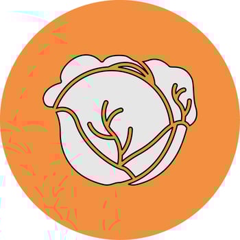 Red Cabbage Vector Icon