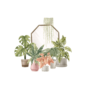 House plants in the interior against the background of a mirror. Monstera deliciosa, calathea, Monstera monkey, pink syngonium and succulents. Cute illustration, hand drawn design. Stylish home decor png