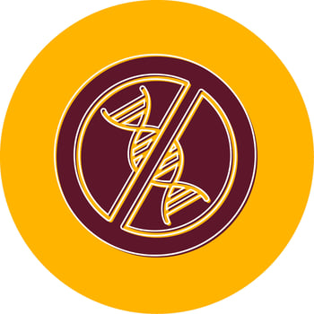 Non Gmo Vector Icon