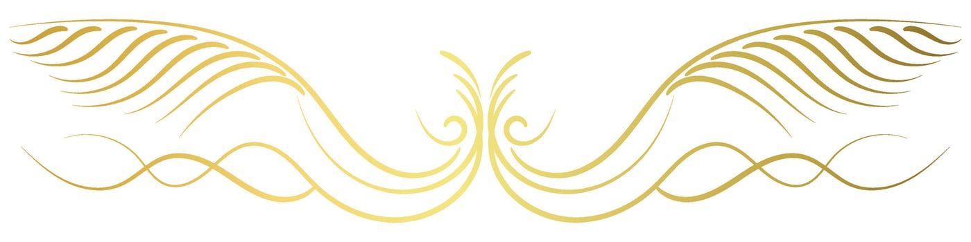vintage lines decorative elements Golden flower border collection vector