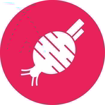 Beetroot Vector Icon