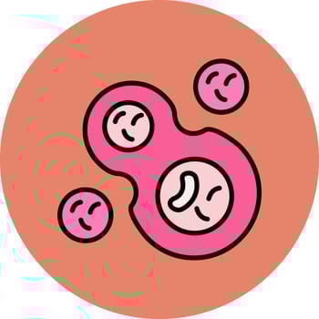 Cell Division Vector Icon