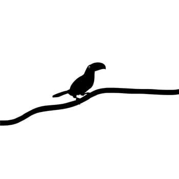 Toucans are Neotropical members of the near passerine bird family Ramphastidae. The Ramphastidae are most closely related to the American barbets, Bird Silhouette. Vector Illustration