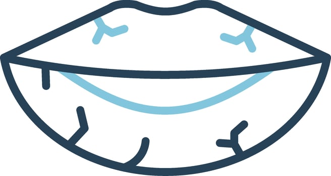 Dried Lips Vector Icon
