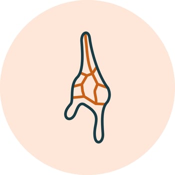 Ceratium Dinoflagellate Vector Icon