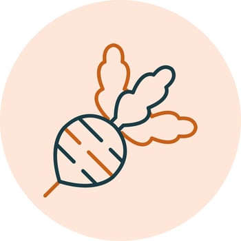 Radish Vector Icon