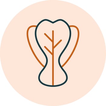 Bok Choy Vector Icon