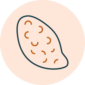 Sweet Potato Vector Icon