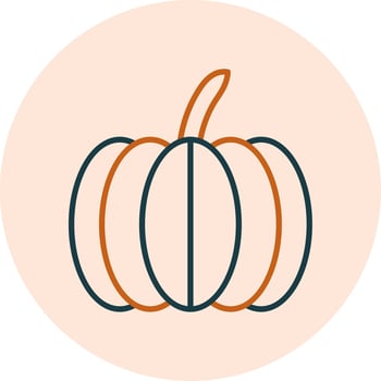 Pumpkin Vector Icon