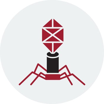 bacteriophage Vector Icon