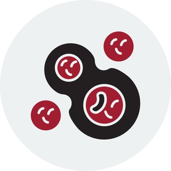 Cell Division Vector Icon