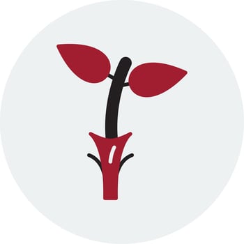 Artichoke Vector Icon