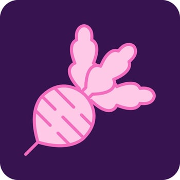 Radish Vector Icon