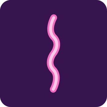 Treponema Pallidum Vector Icon
