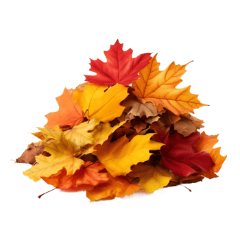Pile of autumn leaves isolated on a transparent background AI Generative png