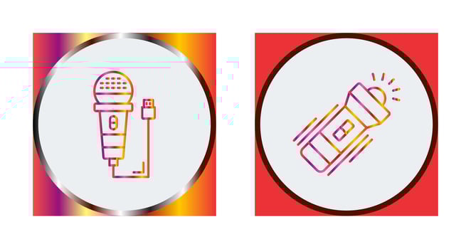 Microphone and Flashlight Icon vector