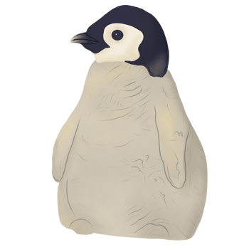 Cute Mini penguin png