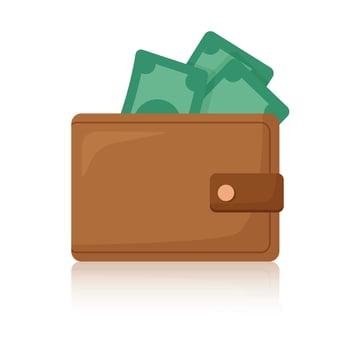 Wallet with money vector