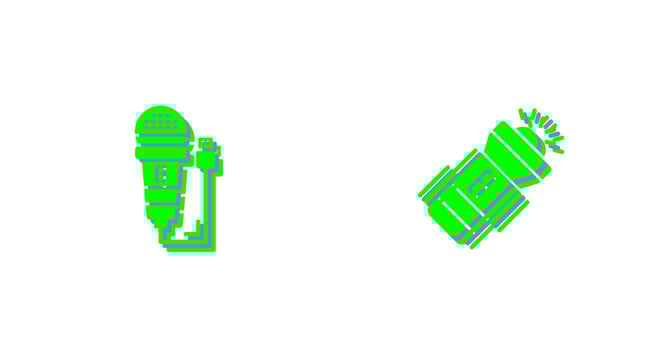 Microphone and Flashlight Icon vector