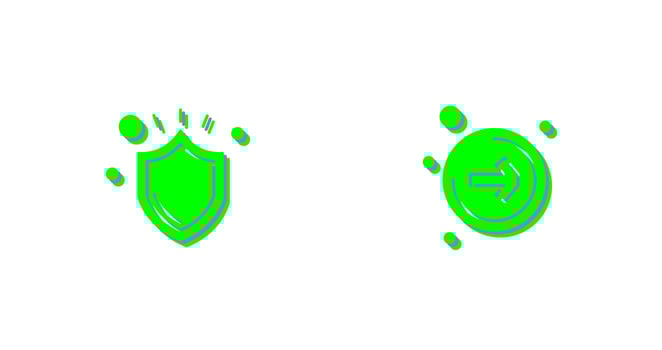 Shield and Right  Icon vector