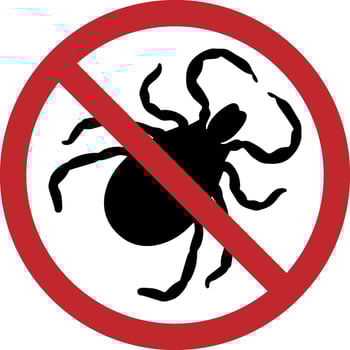 Tick stop warning sign. Stop parasite or tick, pest control and disinsection service, warning or beware. Tick or mite insect parasite, disease prevention and health sanitary disinfection. vector