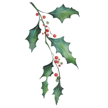 christmas frame with holly berries decorate leaf png