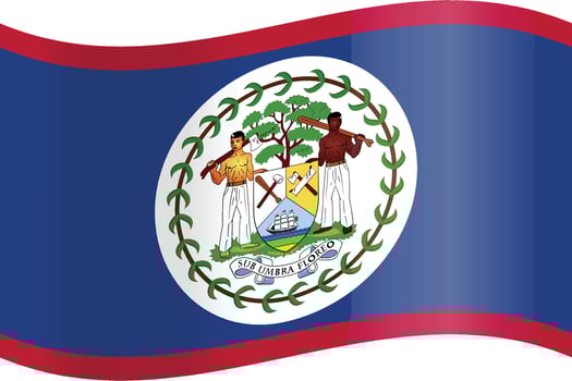 Flag of Belize vector. Belize's flag is flat and lonely vector