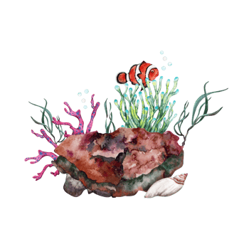 Orange clown fish near anemone growing over reef rock with corals and seaweed. Hand drawn watercolor illustration. Part of tropical underwater collection. png