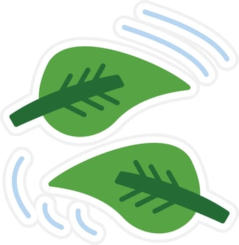 Fallen Leaf Vector Icon