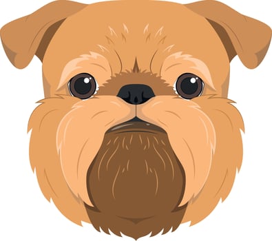 Brussels Griffon dog isolated on white background vector illustration