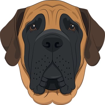 English Mastiff dog isolated on white background vector illustration