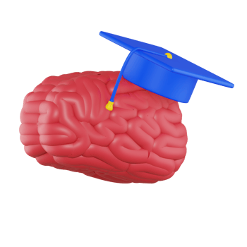 Brain 3D Icon png