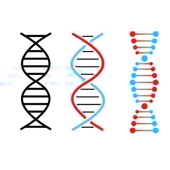 DNA icon vector illustration. human genetic structure sign and symbol.
