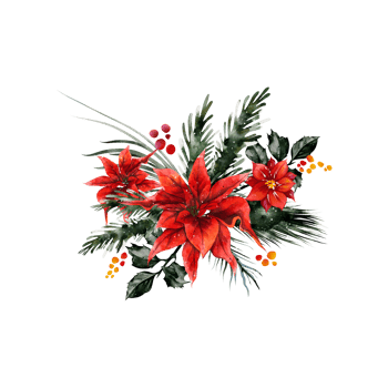 Watercolor Christmas Bouquet png