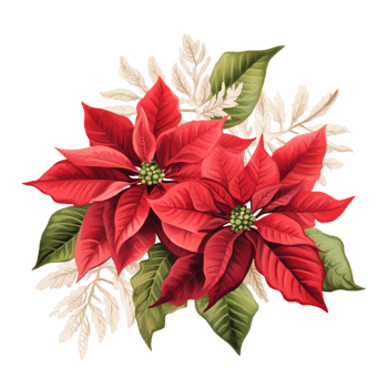 Red poinsettia flower Ai Generative png