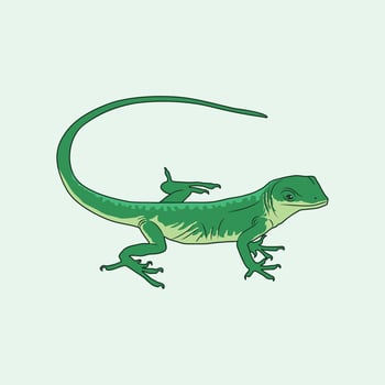 Green Lizard Vector Illustration