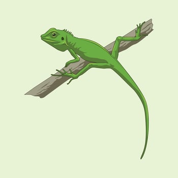 Green Lizard Vector Illustration