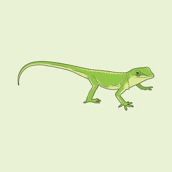 Green Lizard Vector Illustration