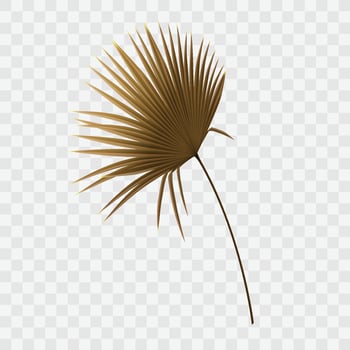 Vector tropical leave beige brown palm leaf dried flowers design