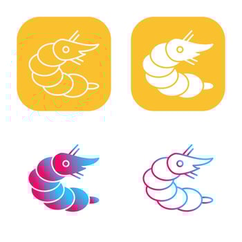 Shrimp Vector Icon