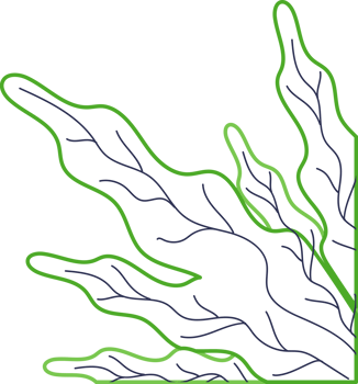 Hand Drawn Outline Plant Corner Border Transparent PNG