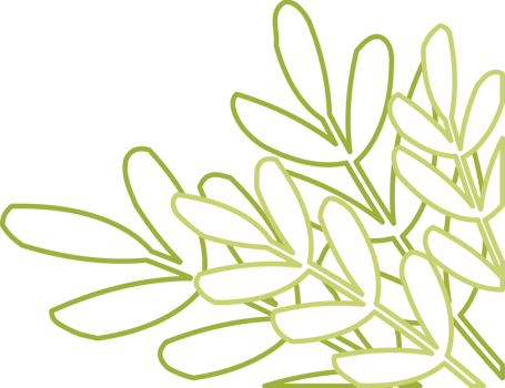 Hand Drawn Outline Plant Corner Border Transparent PNG
