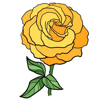 Vector Illustration of Rose Flower