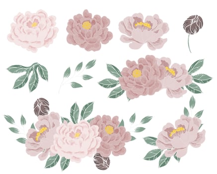 Hand Drawn Dusty Peony Flower vector