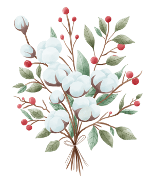 Watercolor Christmas Cotton pine cone holly Bouquet hand drawn illustration png