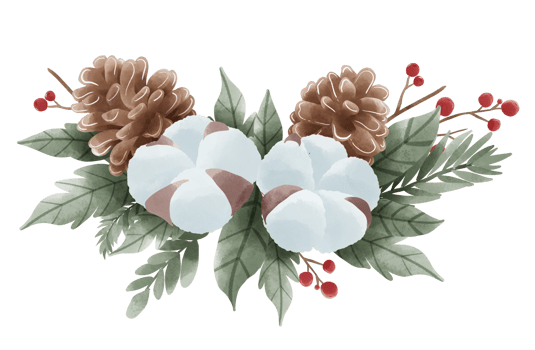 Watercolor Christmas Cotton Holly pine cone composition border hand drawn illustration png