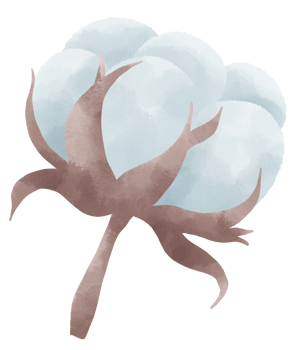 Watercolor cotton element hand drawn illustration png