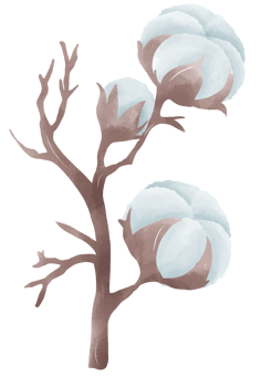 Watercolor cotton element hand drawn illustration png