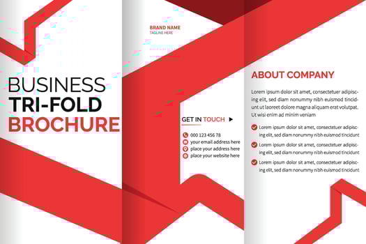 tri fold brochure design with space vector